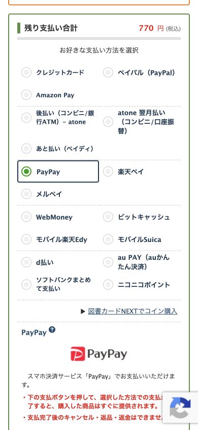 Webストアの支払い確認画面でPayPayを選択した例